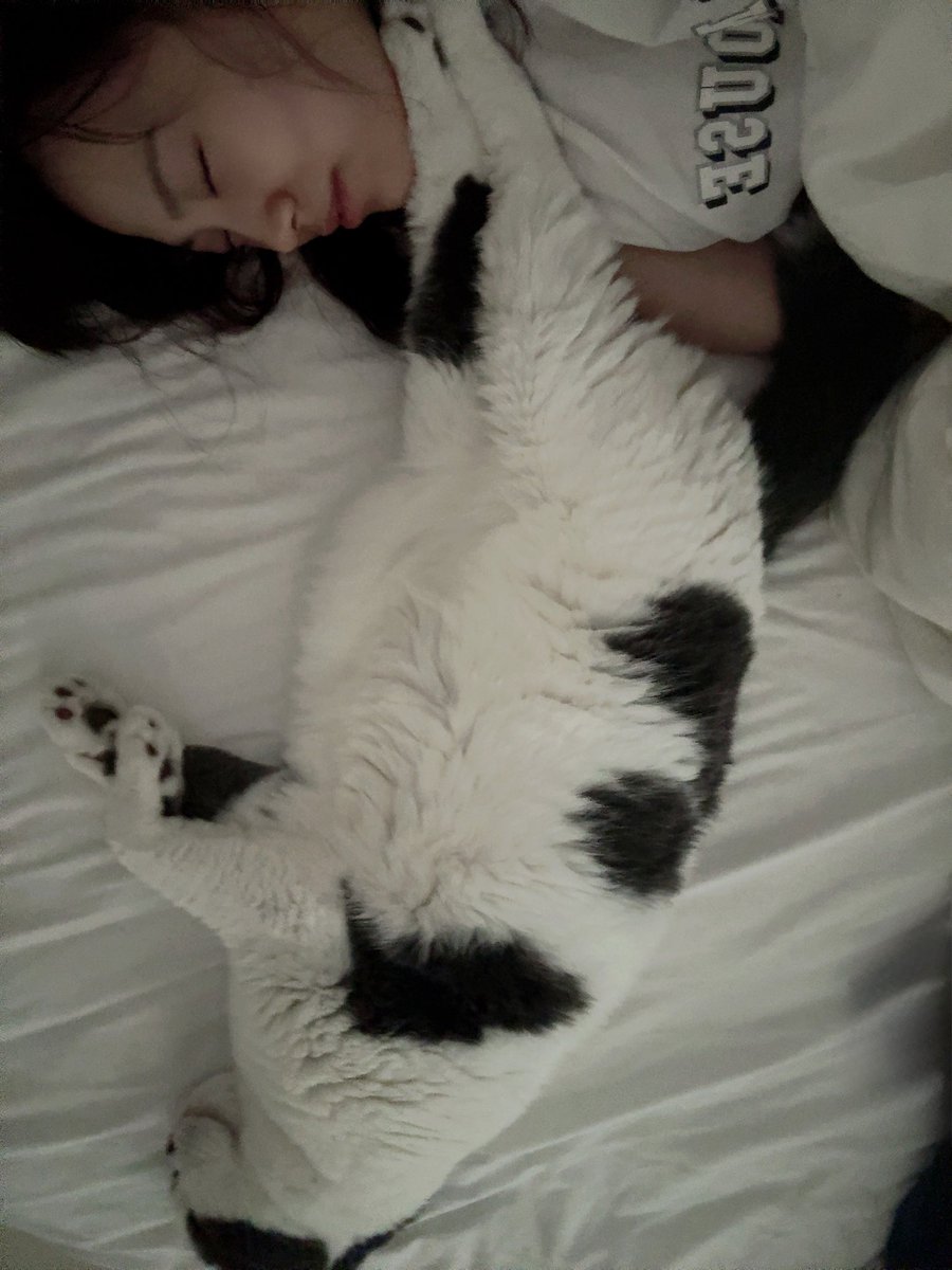 amamiya_kanan's tweet image. おはようございます。
朝から足置きにされてます
幸せな朝だ☀️