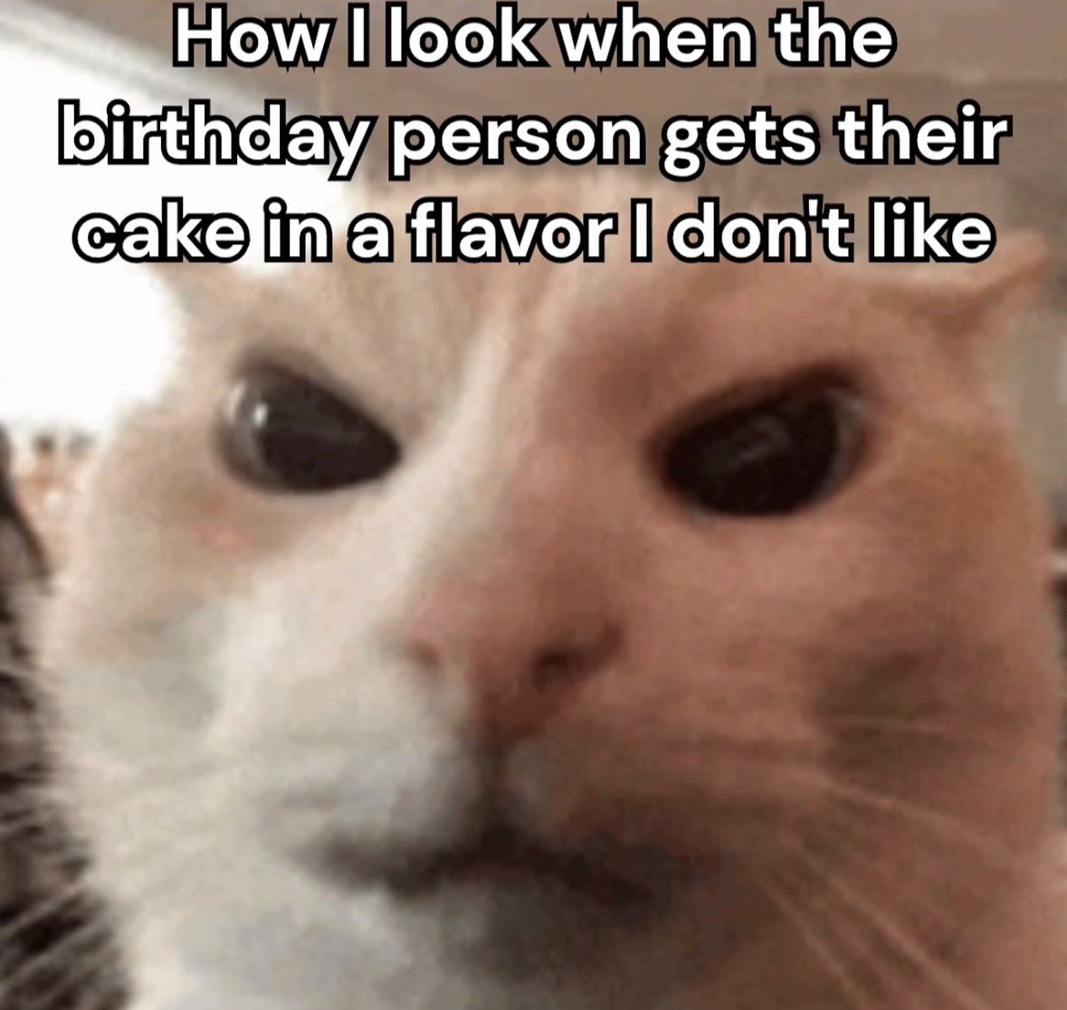 raccoonesthetic's tweet image. 