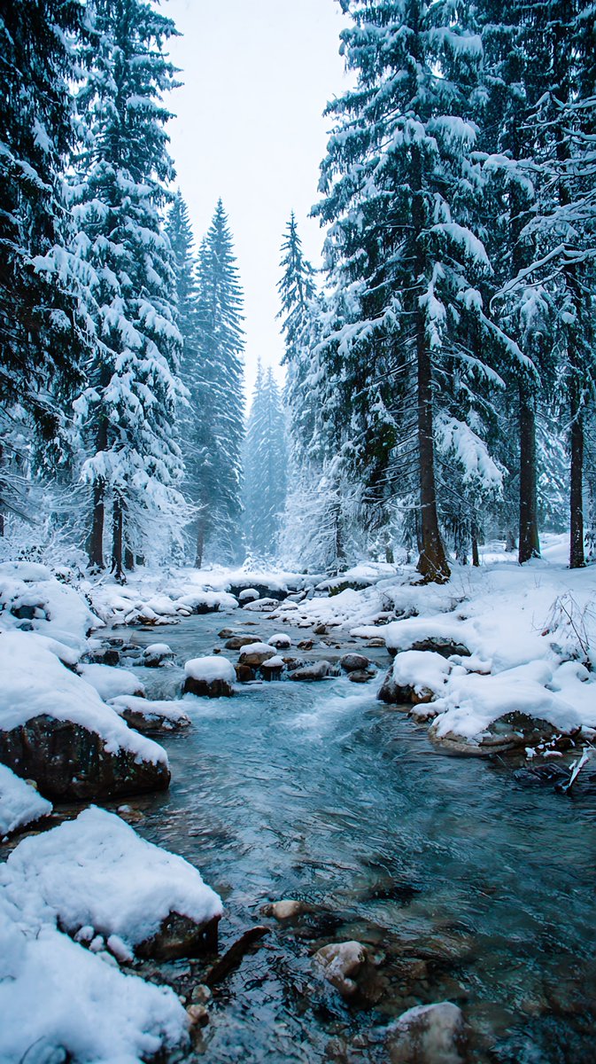 Winter excellence ❄️🩵 #snow