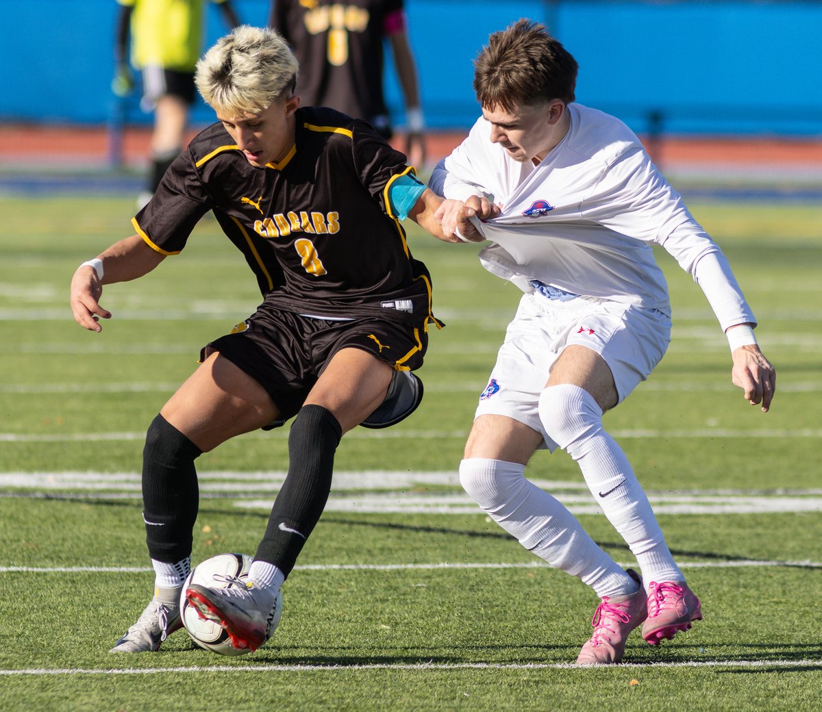 Tom Bushey tweet media