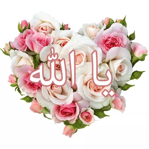 #صباح_الخير_والسعاده 
کْلَ صّبًآحً وٌآنِتٌمً بًحًفُظُ آلَرحًمًنِ 
وٌرعٌآيَتٌهّ
#ساعه_استجابة
رزٍقُنِآ آلَلَهّ وٌآيَآکْمً خِيَر
آلَدٍنِيَآ
وٌآلَآخِرهّ