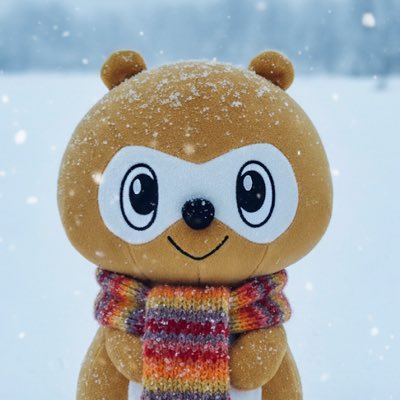 たぬきᐢ⓿ᴥ⓿ᐢ 新しいプロフィール画像