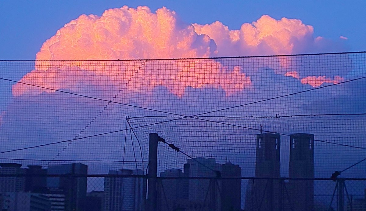 以前住んでいた家のそばにあった中野区の南台いちょう公園は新宿の高層ビル群がよく見えるスポットの一つでした（間に遮るものがなく、地面レベルからよく見える）。こういうのは地図を見てもわからないことで、実際に歩いてみて初めてわかるんですね（都内でスカイツリーが見えるスポットとかもそう）