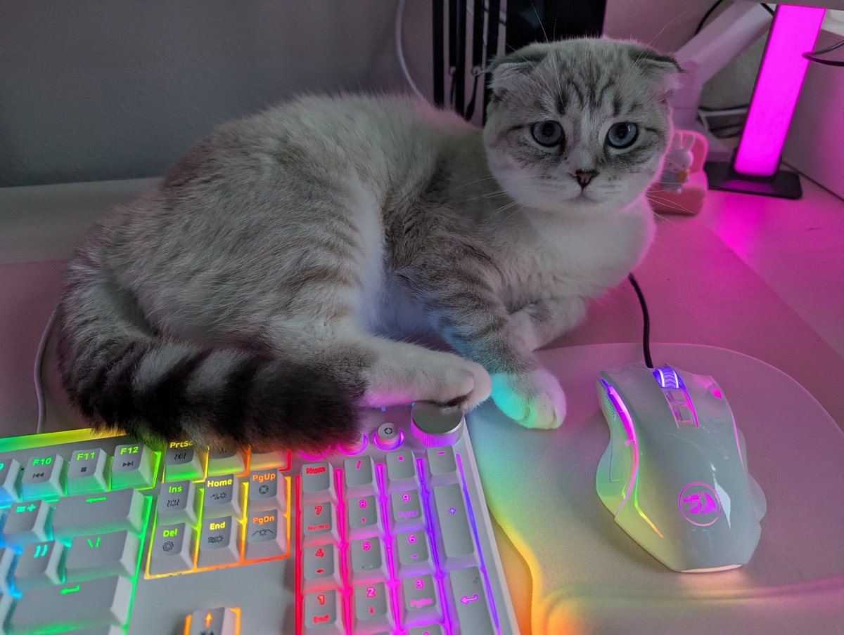 im not dead but this thing sure tries it's best