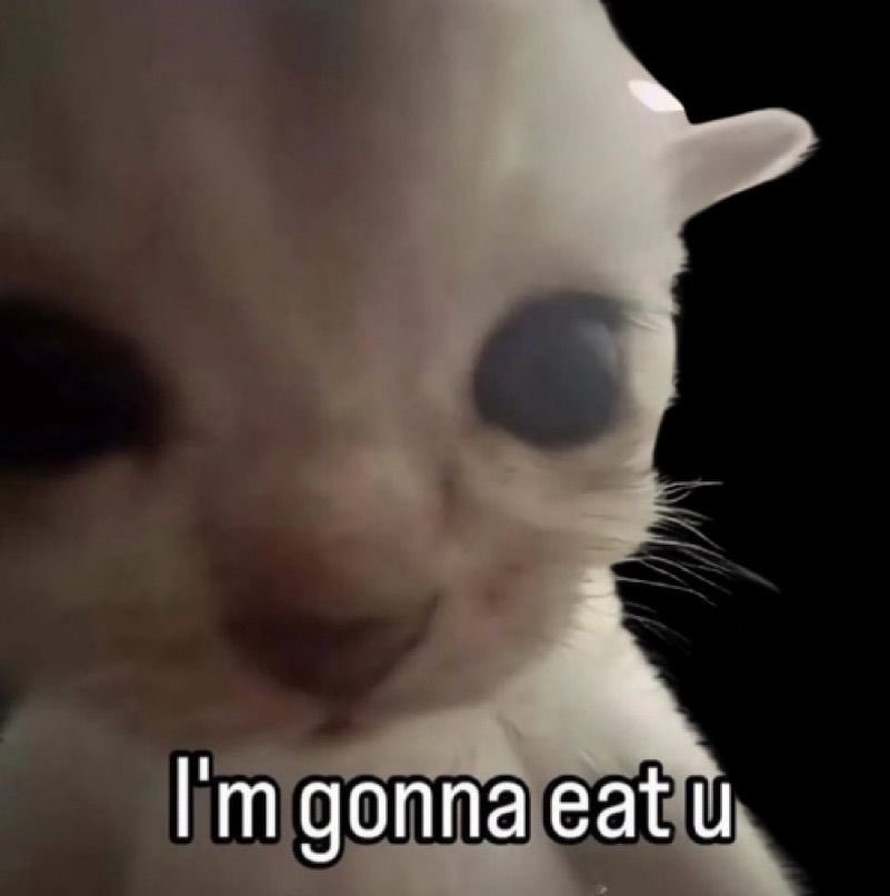 johnny ᶻ 𝗓 𐰁 .ᐟ (@introverdz) on Twitter photo 