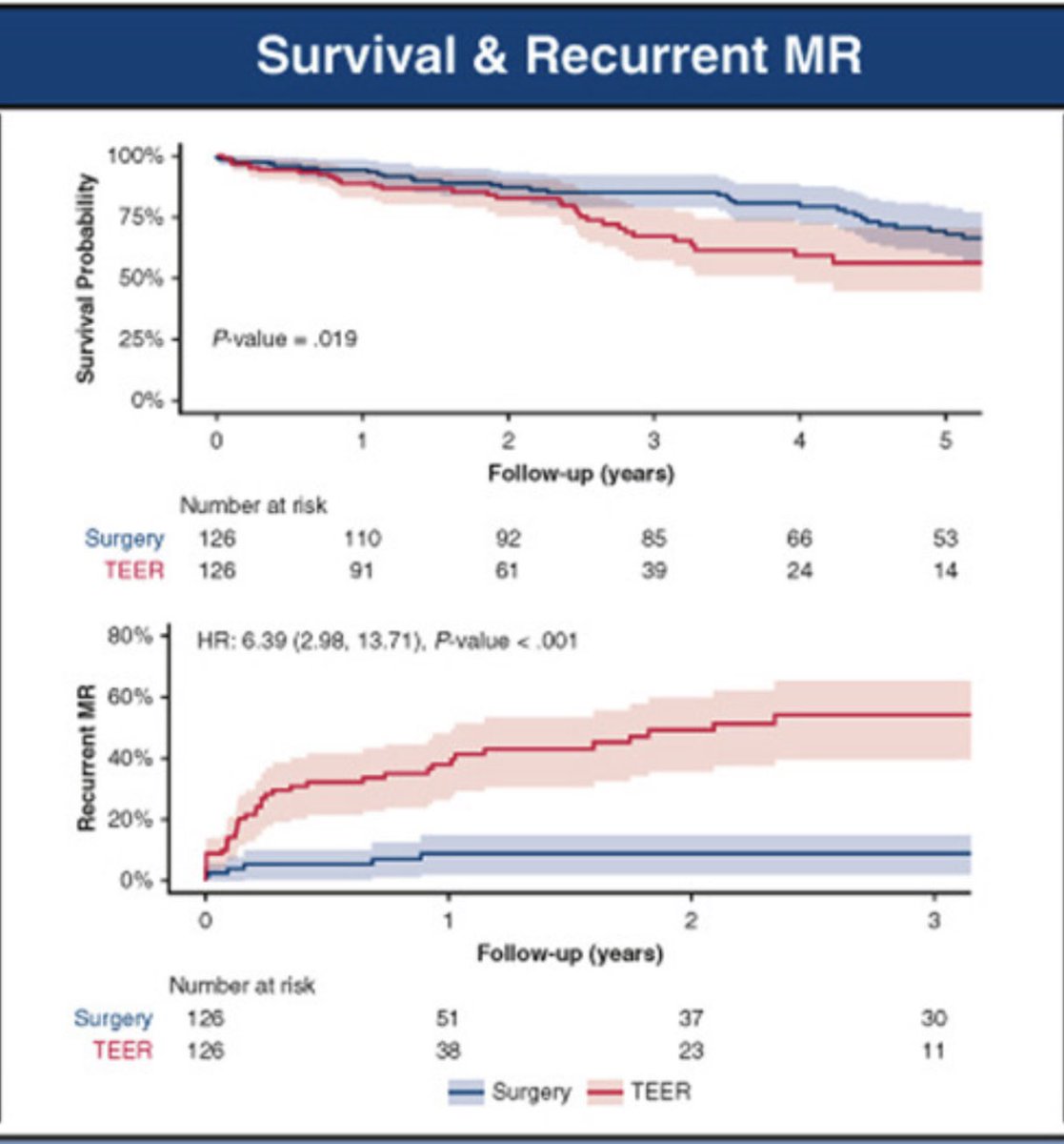 Giambattista La Forgia tweet media