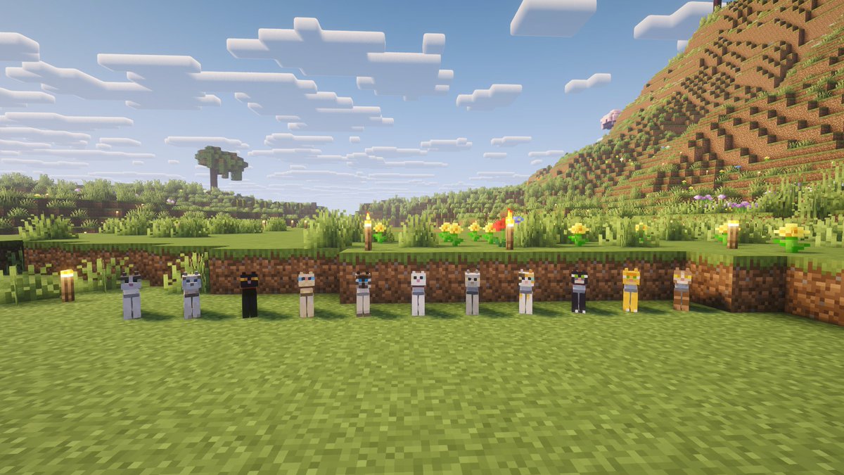 Mathookee's tweet image. Sur chaque survie mon premier objectif c&apos;est de capturer toutes les races de chat du jeu. Voici une photo de mes enfants