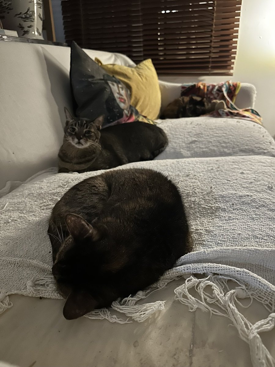 Гуся Егоров tweet media