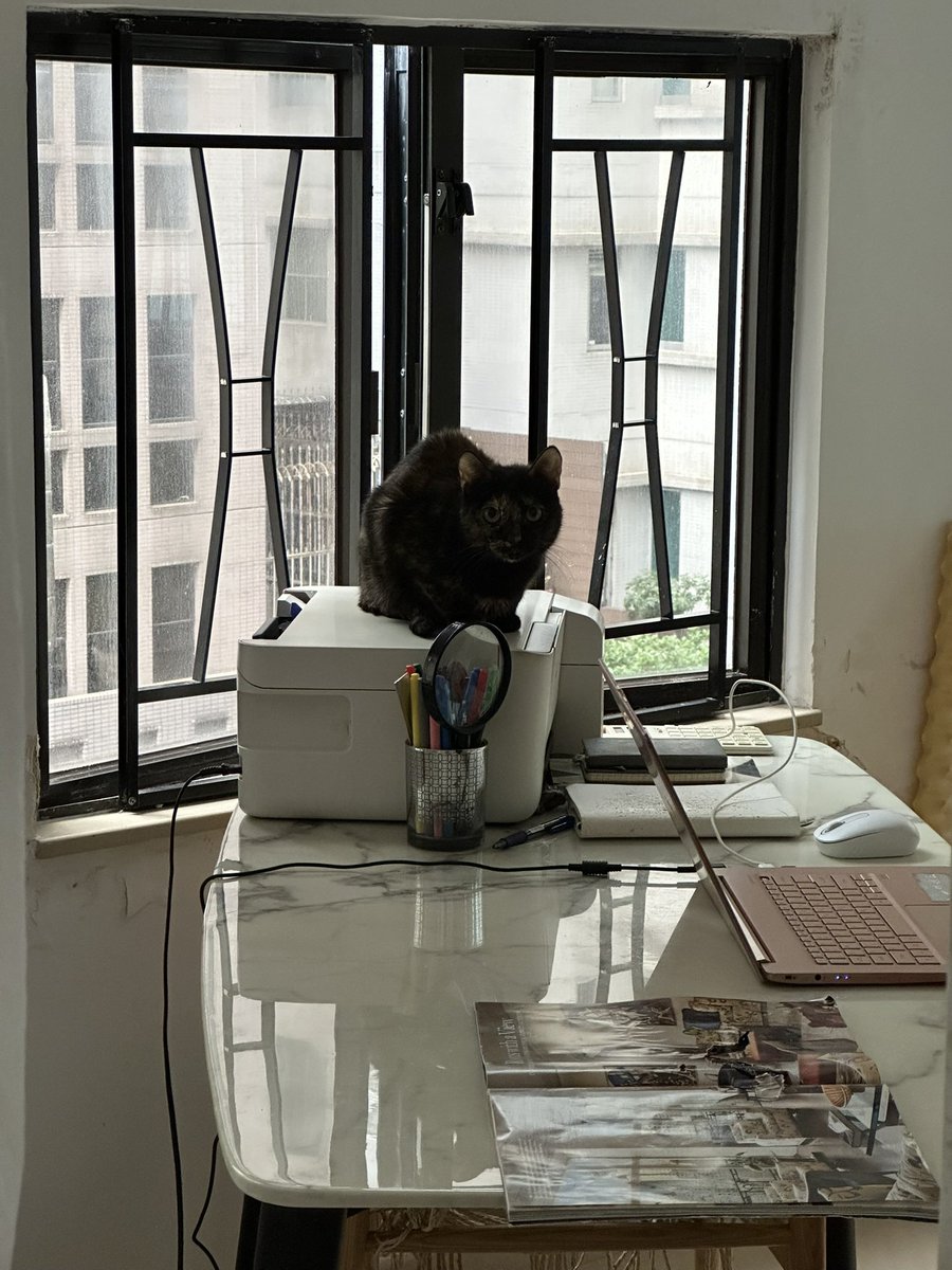 Гуся Егоров tweet media