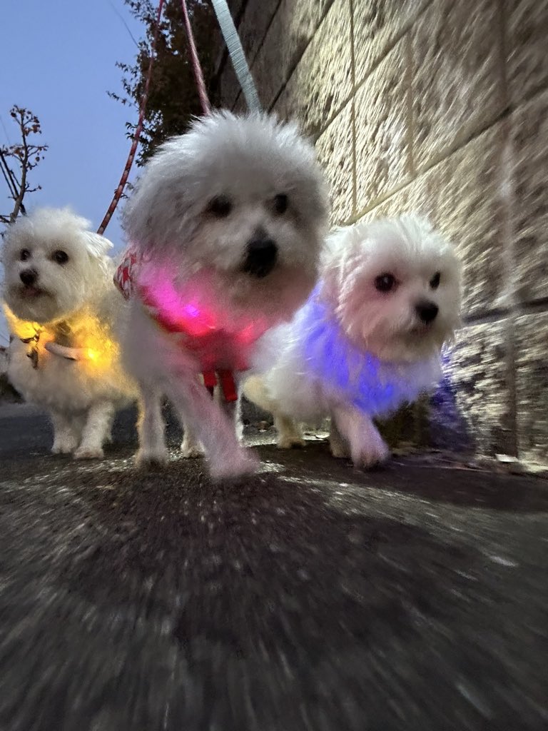 ハルくん (@9Z8lquSv8B3FMpN) / Posts / X