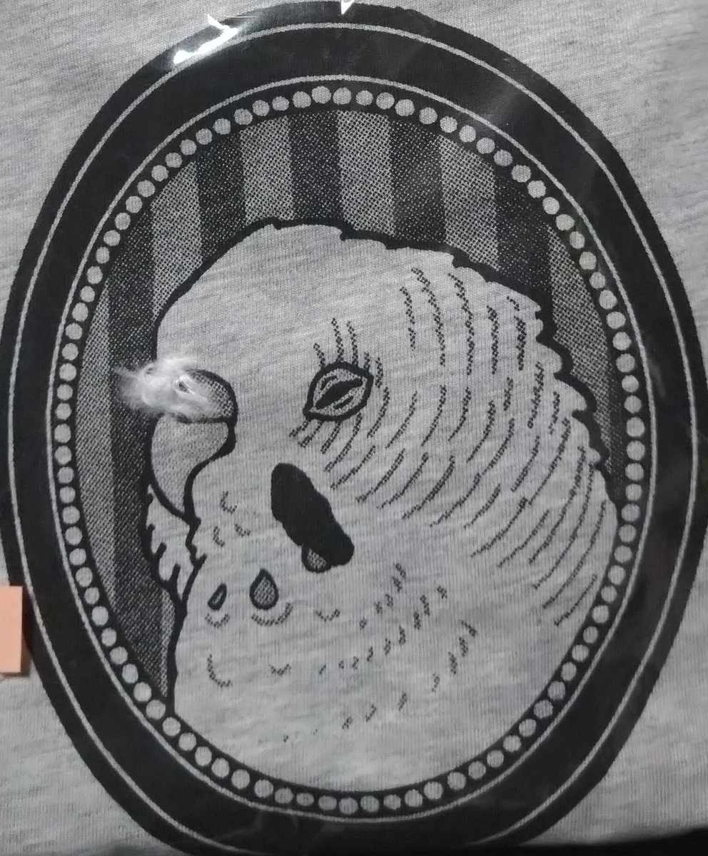 pekopoko0308's tweet image. 日にちあるからまだ買うつもりなかったが
こんなんめっけたら買うしかないじゃんっ！！！！って姉の誕プレで買った鳥飼いならわかるこの鼻にぱや毛付いてる天才的なTシャツ見て…
最高じゃない？？？
即買いした

おれの分ですか？

サイズが売り切れだったんだよっ！！！！！💢💢💢(大号泣)