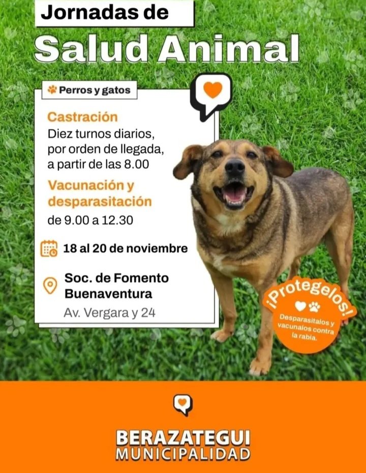 protegealanimal's tweet image. BERAZATEGUI 
#BERAZATEGUI #BERA #VILLAMITRE #BERAZATEGUIOESTE #BARRIOLOSMANZANOS #PLÁTANOS #VILLAESPAÑA #RANELAGH #GUILLERMOEHUDSON #HUDSON #ZONARURALNORTE #ZONARURALSUR #PEREYRA #ELPATO #SOURIGUES #JUANMARÍAGUTIÉRREZ #GUTIÉRREZ #ZONASUR #GRANBSAS #BSAS #BUENOSAIRES #CONURBANO