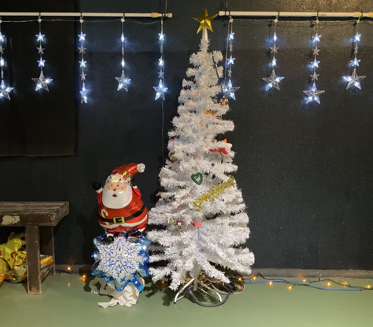 ＼寺泊水族館開館中！／
平日も開館してるよー🐟クリスマスツリーも出したので館内でゆっくり過ごしてくださいね🌲✨