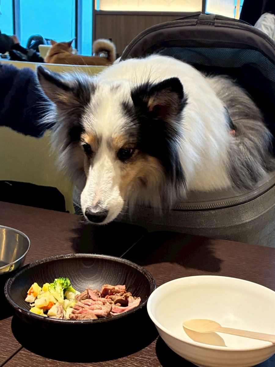 家族で一泊旅してきました 楽しかったしとても有意義だったんだけど