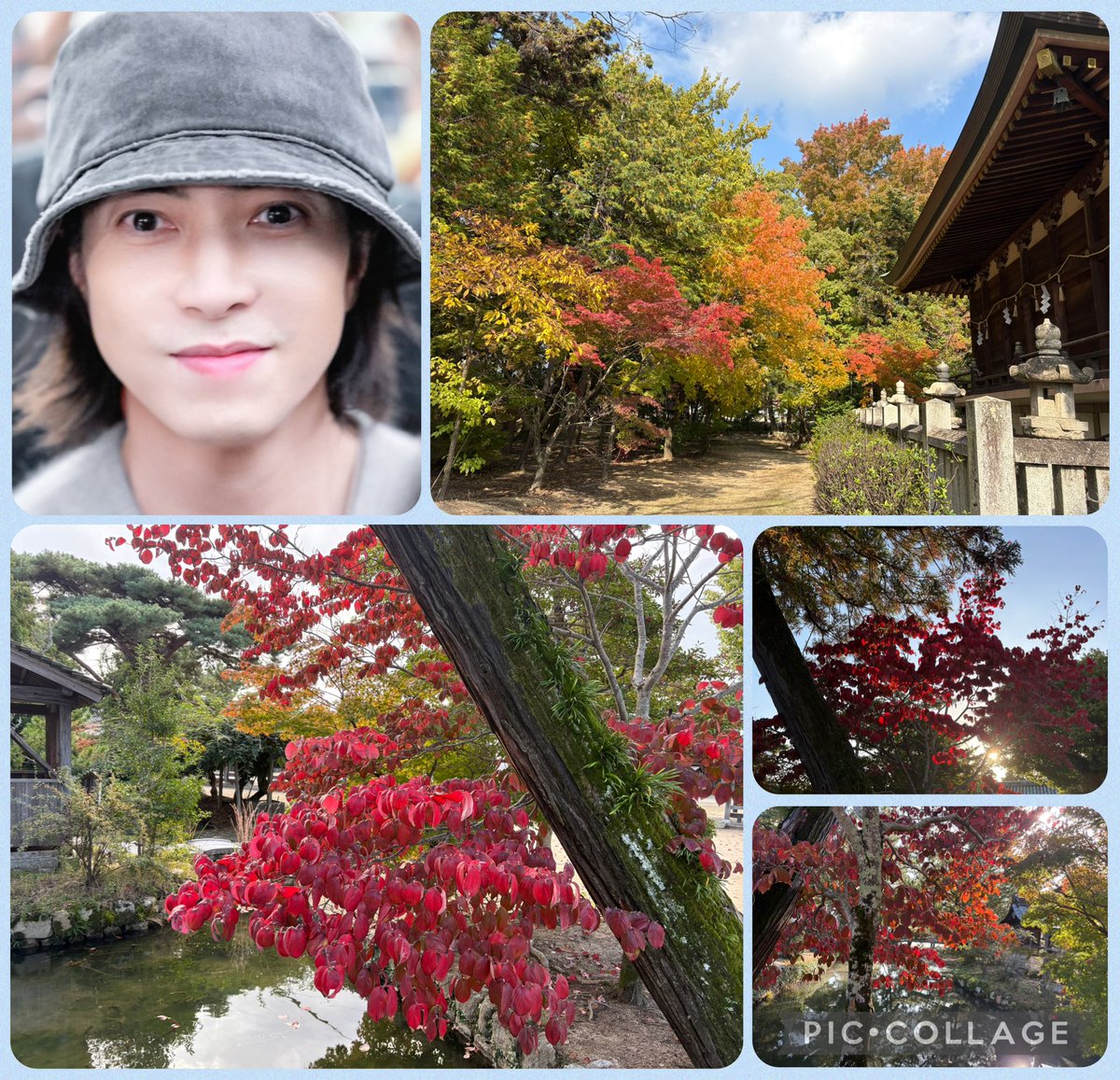 haco03131's tweet image. おはようございます☀️
朝TVをつけたら台湾やまぴーが🫢
（お知らせなかったような）
月曜日、元気が出ました💪
いつもの⛩️の🍁もイマイチ進んでいない様子ですがもうすぐ12月💦
（🍂と言えば↓↓↓）
#ISeeYou
youtu.be/GSaGuNPIlwM?si… 
#山下智久