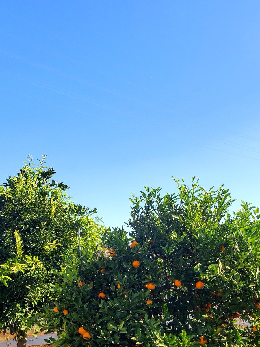 MsLABO6's tweet image. 快晴！気温上昇！最高のツーリング日和なのに…
寝坊…昨日一緒に過ごした家族からの発熱連絡…あぁ…