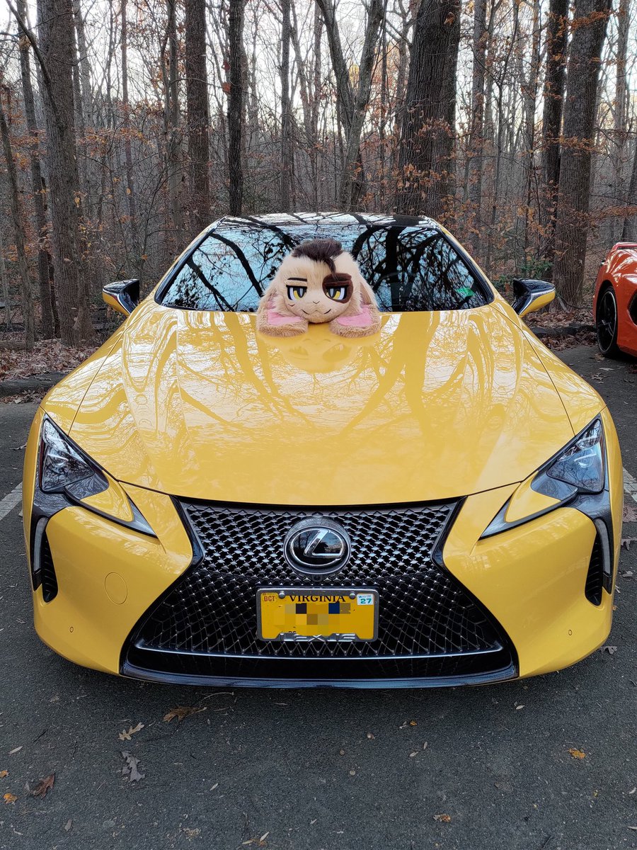 WattaBunny🔜FurTheMore tweet media