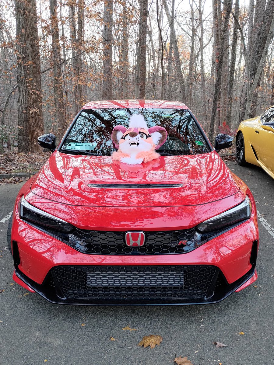 WattaBunny🔜FurTheMore tweet media