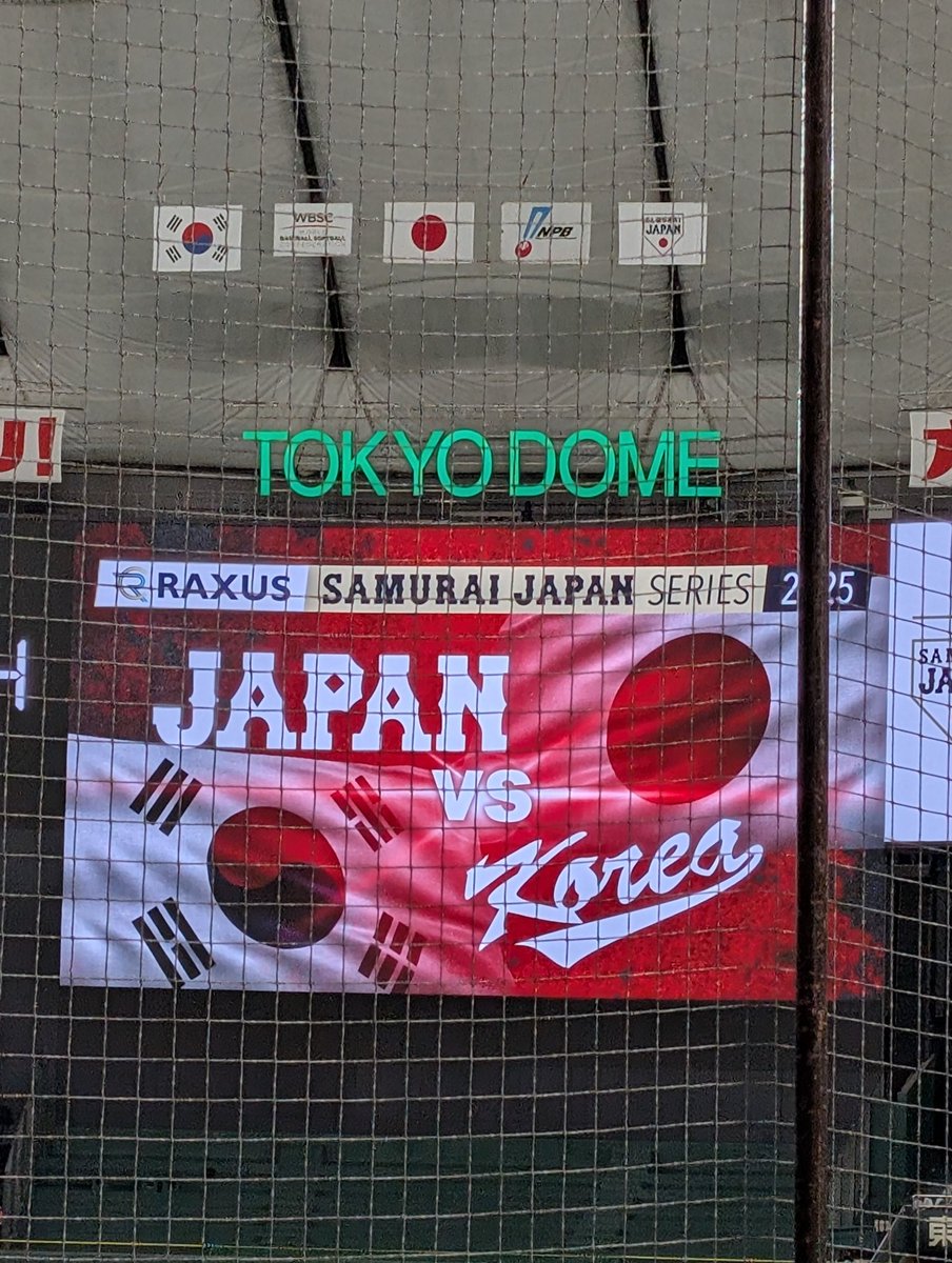 昨日も侍ジャパンシリーズ 2025 強化試合 日本 vs 韓国の第2戦に参戦