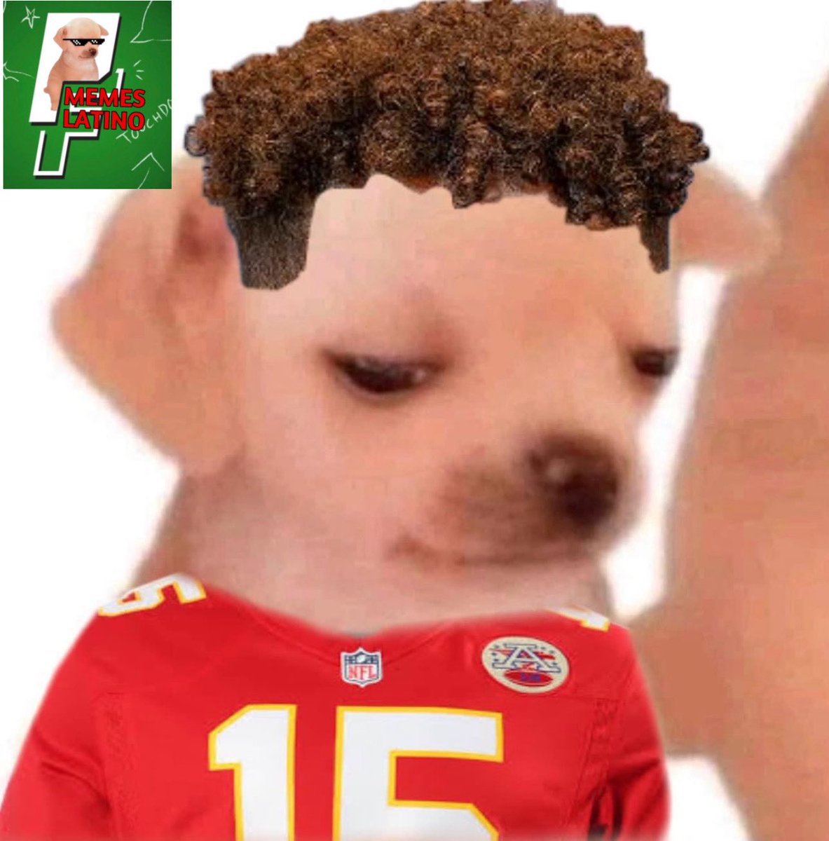 pilotomemeslat's tweet image. Alv los Chiefs