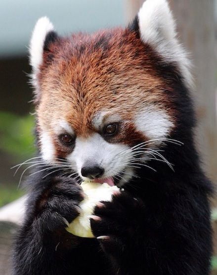 ytym_o2's tweet image. 