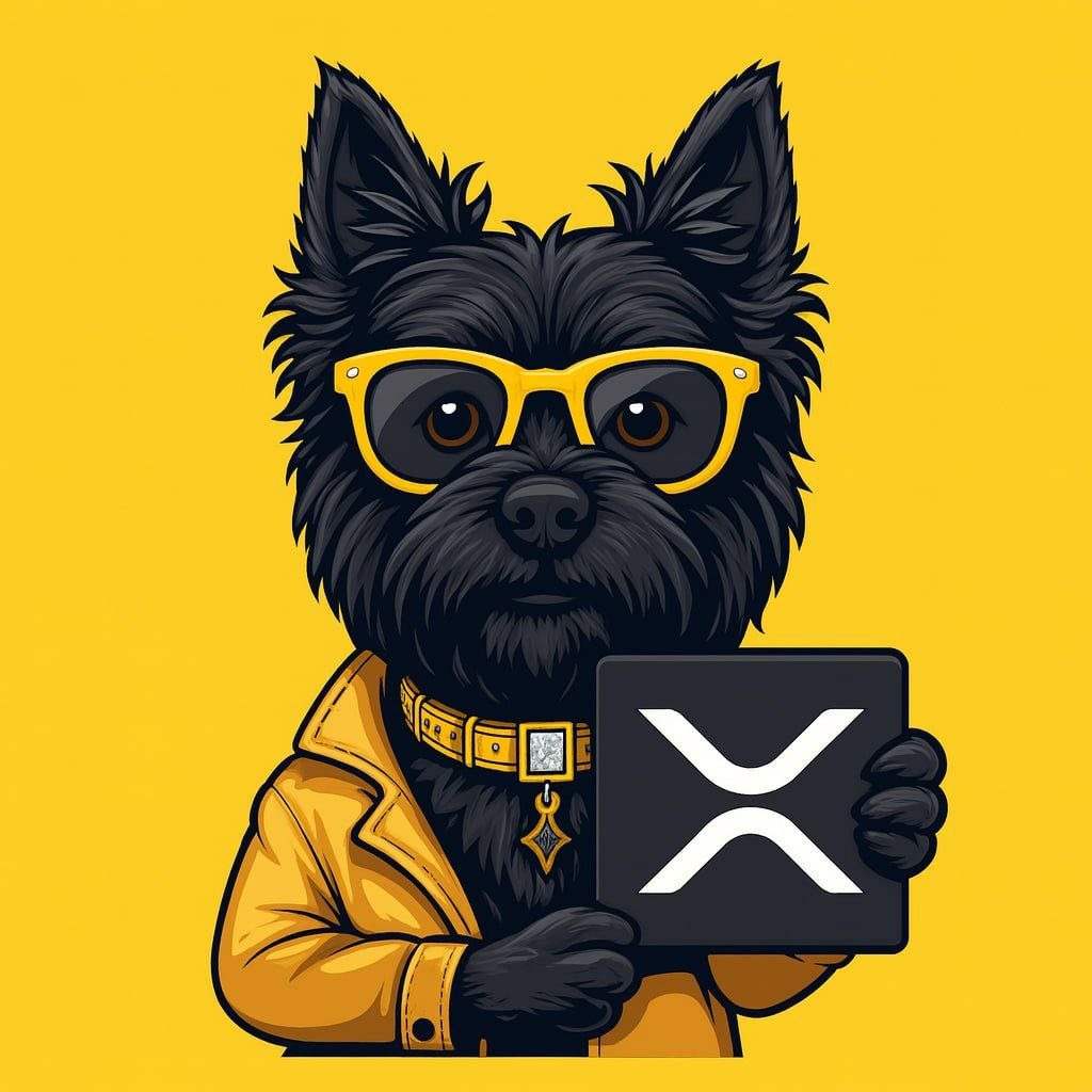 leo2021107's tweet image. If we’re talking belief, conviction, and a community that actually shows up, it’s $TOTO on XRP every single time.
Real builders, real culture, real upside no noise, just work.

@TERRYTOTO_XRPL

#TotoYellow