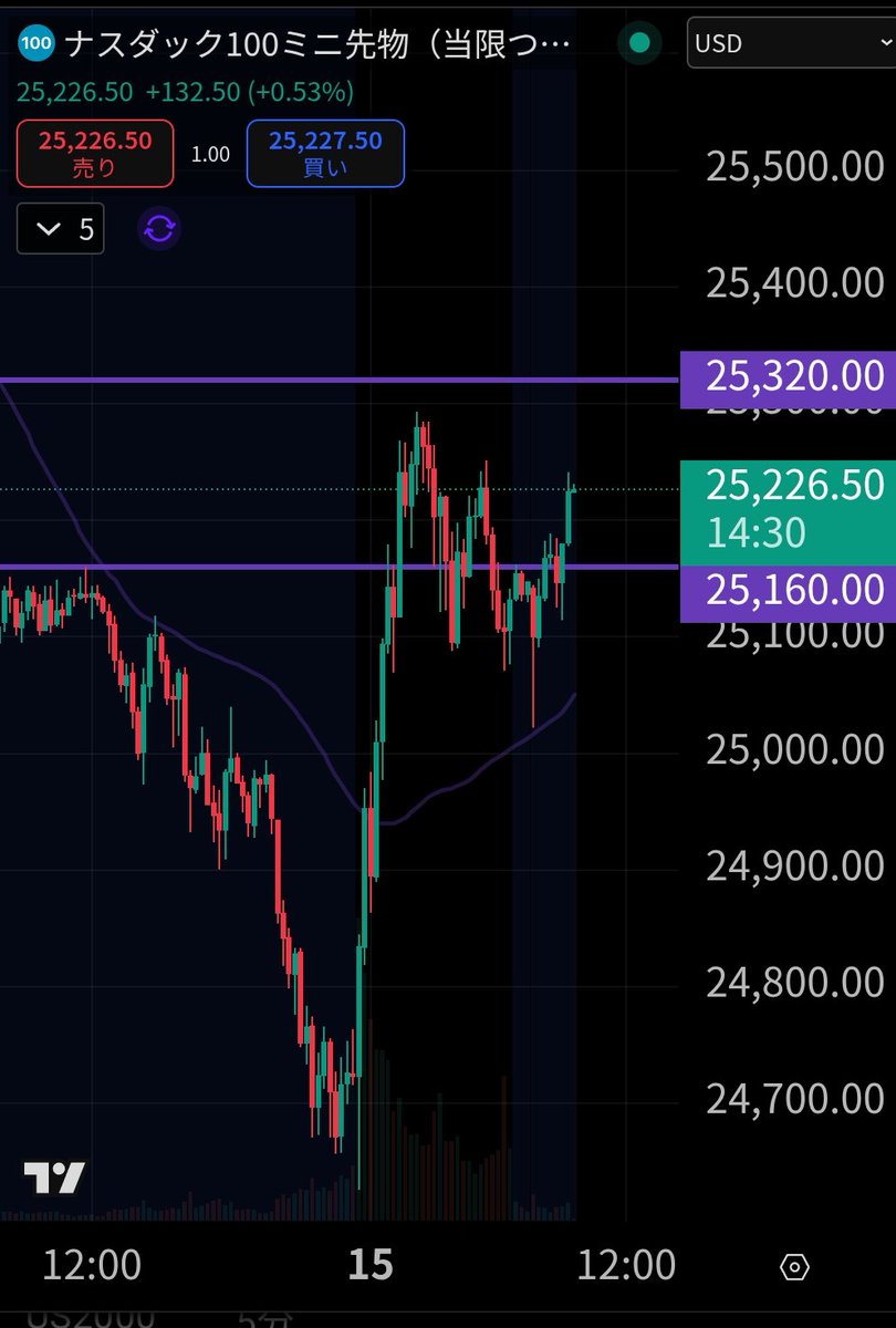 ナスダック100先物は+0.5%と上昇中！ 25320を安定的に超えてほしいところ！ どんどん突き抜けてくれると嬉しい！ あとは神に祈ろう🙏