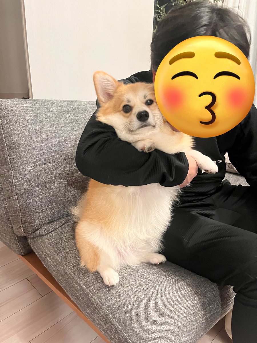 little_wooo_'s tweet image. パパ大好きだけど今は違うみたい❗️🤣