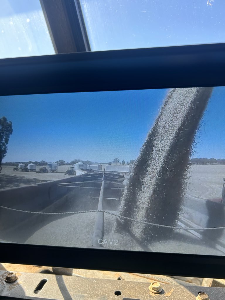 HoolyMcg's tweet image. Grain.  You Gota love it