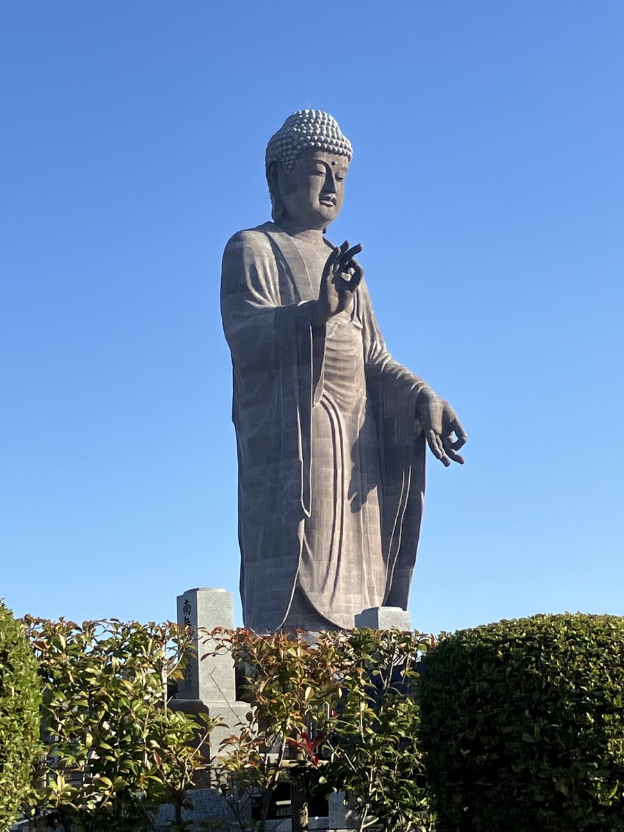 ポポチョロ🐦💨 (@1b4fc39ec9e04d3) / Posts / X