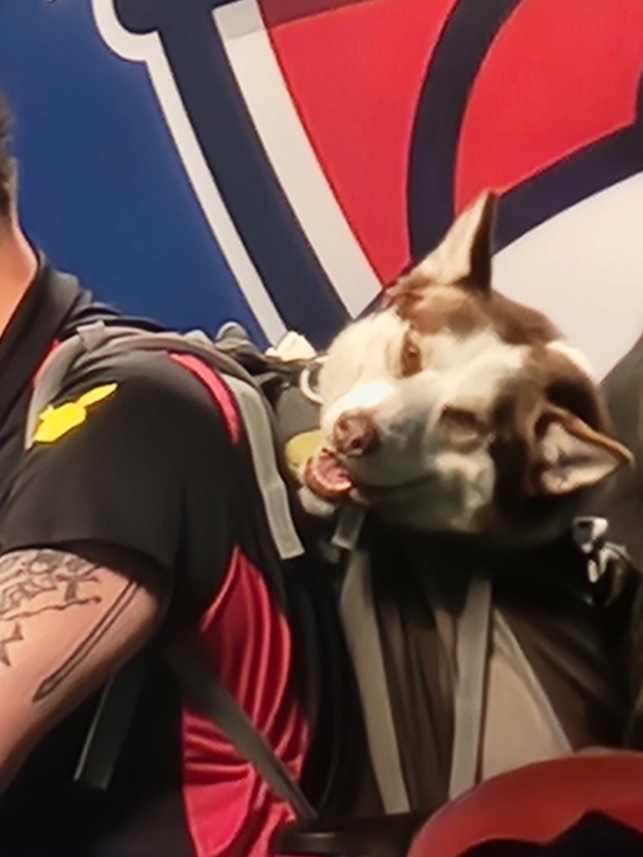 MorseCodeVGC's tweet image. Good boy spotted on the TCG feature match at the @playpokemon #Vegas regional