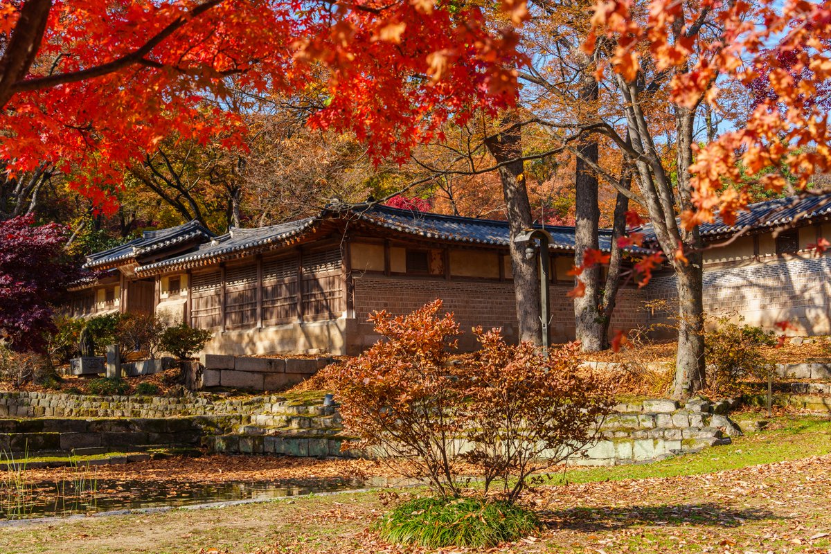 가을의 창덕궁은 빨간색.🍁
멀리 떠나지 않아도
이 계절은 충분히 아름답다.
.
여기는 천천히, 😌아름답게 흘러간다.

#창덕궁 #가을여행 #단풍명소 #한국의가을 #SeoulAutumn