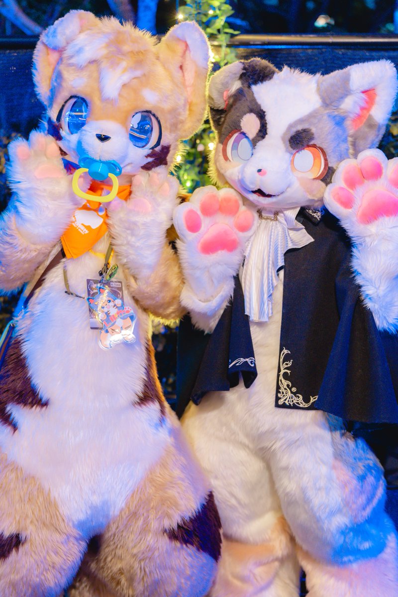 Rollo_0405's tweet image. 赤ちゃん👶໒꒱· ﾟ

#Kemocon18
#ケモノをみて今週もがんばりマンデー