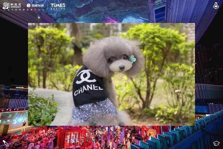 HazardOpera's tweet image. 💉The kettle didn’t whistle. It’s being shy today. Introvert mood.💘Umbrella laughs at wind