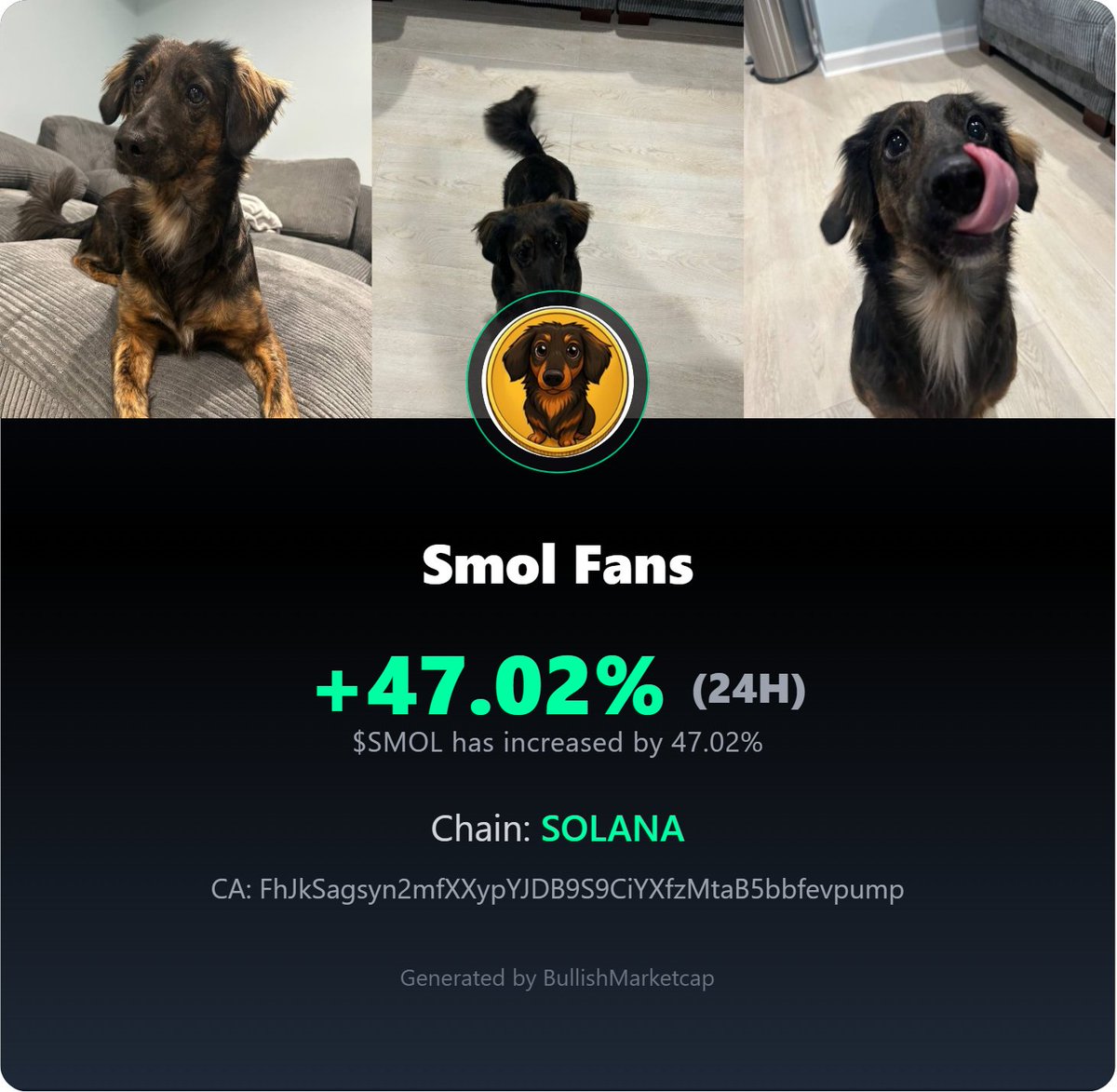 BullishMarktCap's tweet image. 🪐 $SMOL looks bullish. Hidden gem behavior spotted.

⚡ Name: Smol Fans
⛓ CA: FhJkSagsyn2mfXXypYJDB9S9CiYXfzMtaB5bbfevpump
Chain: SOLANA

#BullishMarketcap #MemeCoins #DeFi
@official_smol_ @BullishMarktCap