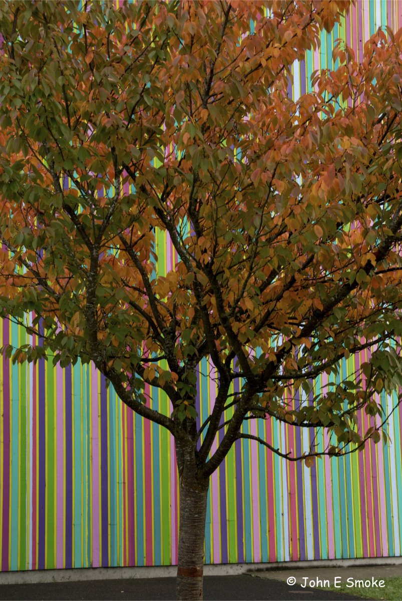 JohneeeSmoke's tweet image. 