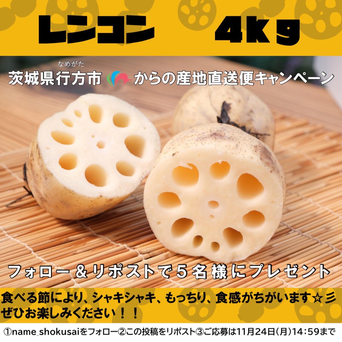 Tomato-kanページ【⭐️お急ぎ便⭐️】 あずき (@azukiao3456) / Posts / X