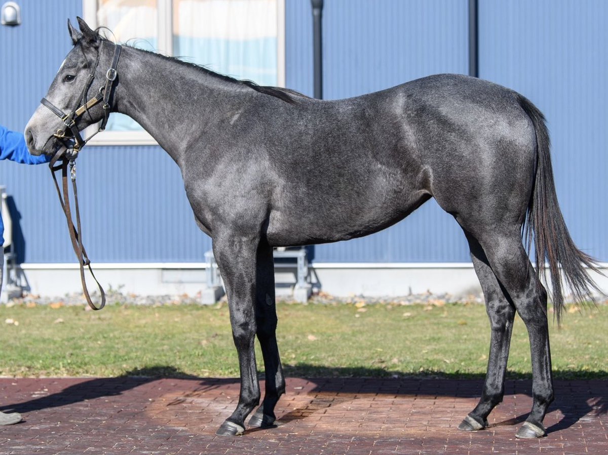 アメニティーライナー (@amenity_liner) / Posts / X