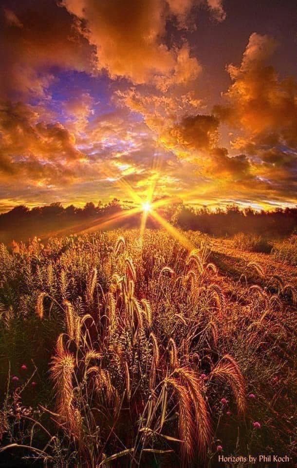 "Lighten Our Darkness"
Wisconsin Horizons by Phil Koch
phil-koch.artistwebsites.com