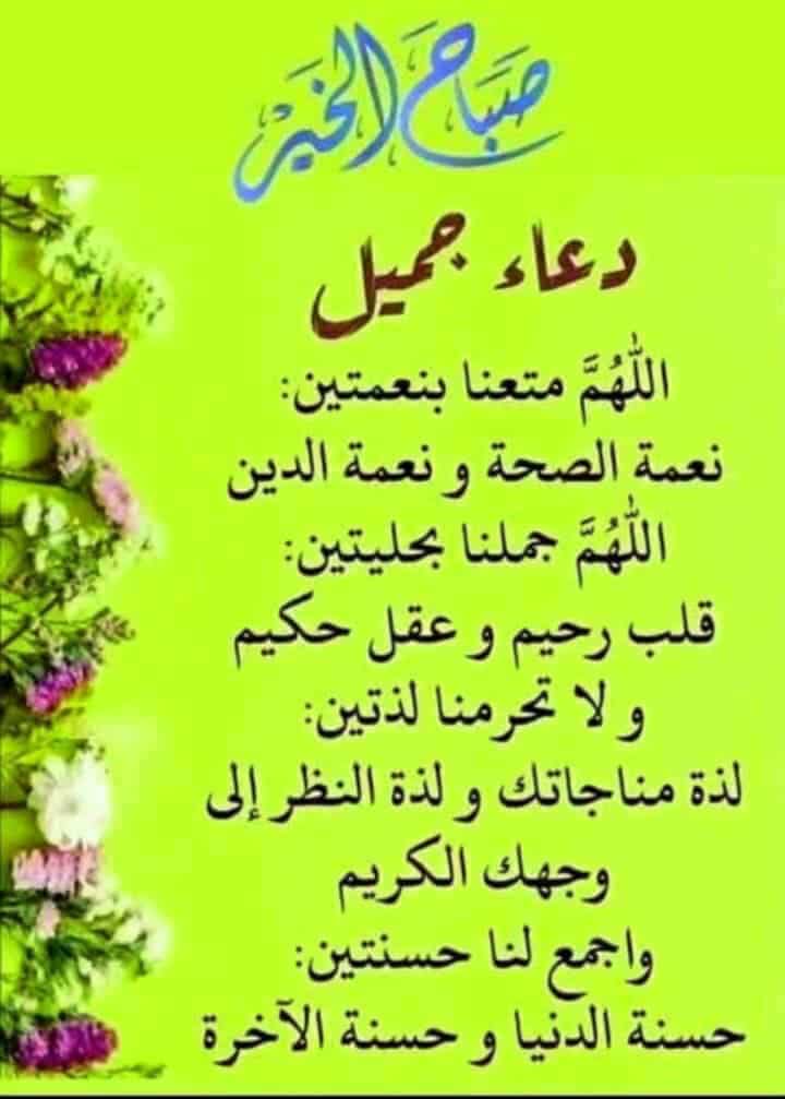 فتحي محمود (@fmhmwd83572) on Twitter photo 