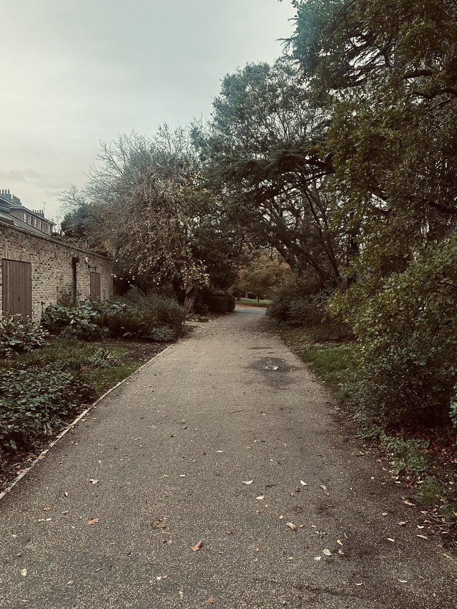 ForestPumpy's tweet image. 