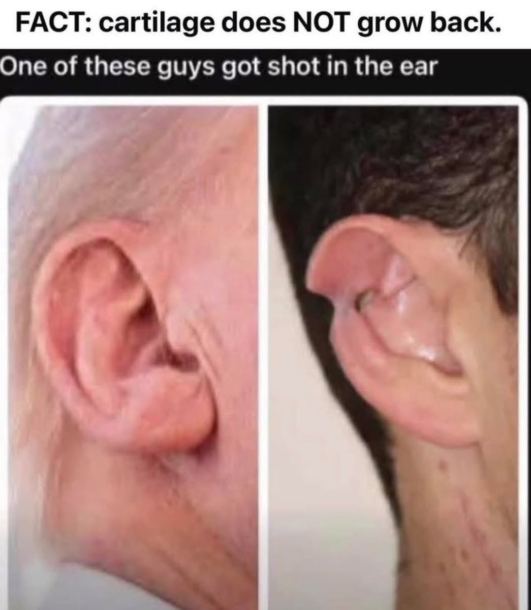 Barb Stewart tweet media