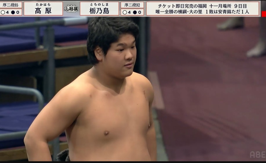 大相撲 令和七年 11月場所 九日目 二子山部屋 序二段 髙原