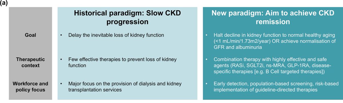 ❇️ La ERC ya no es solo declive: Tangri et al. proponen “remisión” como nuevo objetivo clínico.

📊Combinaciones (SGLT2i, ns-MRA, GLP-1RA) logran estabilizar función y bajar albuminuria🙌🏼

Un giro importante para la #nefrologia 

kidney-international.org/article/S0085-…