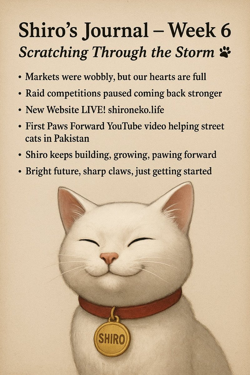 Shiro’s Journal – Week 6: Scratching Through the Storm 🐾

Meeeeow, Shiro fam!

This week has been… spicy  The market was wobbling like a kitten learning to walk, but I stayed cozy in my blanket fort with a full belly and an even fuller heart

The best part? You. My community.