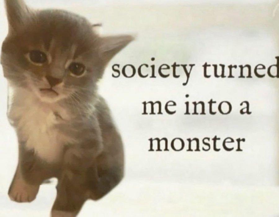 Gaboteeeeee tweet media