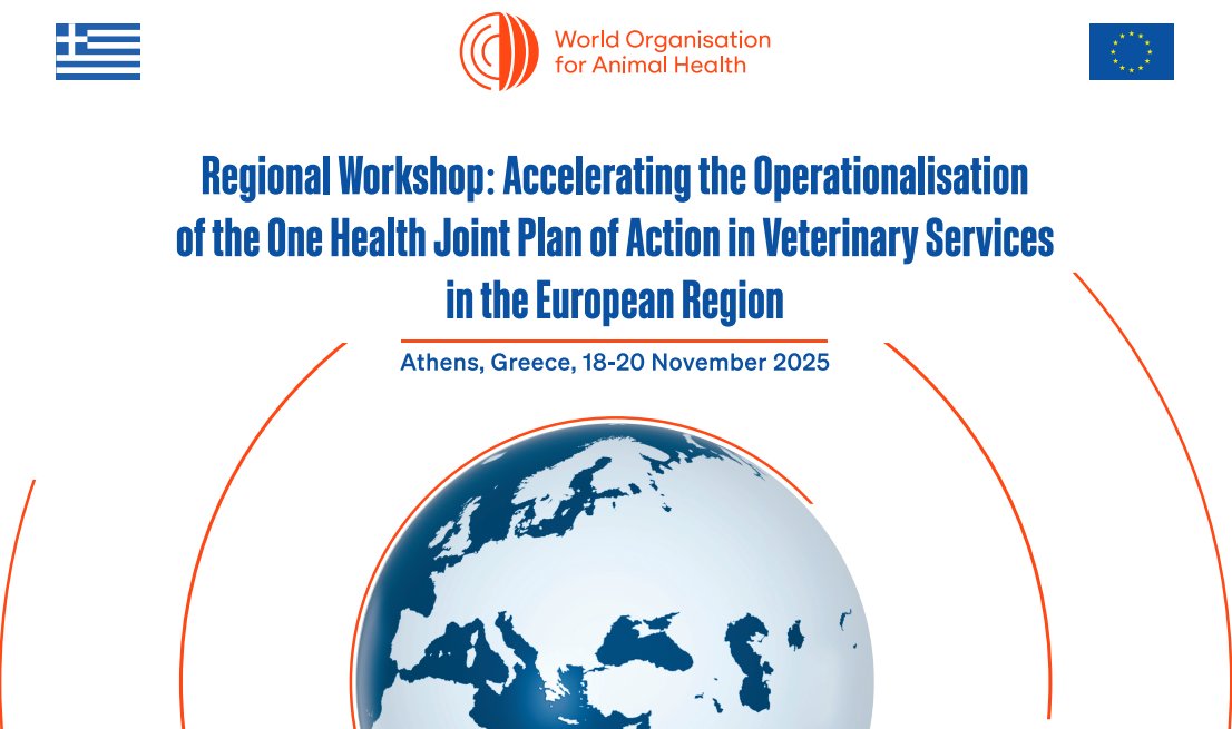 This week we gather in Athens for our WOAH Europe regional workshop on “Accelerating the operationalisation of the One Health Joint Plan of Action in Veterinary Services” (18–20 Nov).
Follow the webinar: 
oie.zoom.us/j/96298082992
#OneHealth #AnimalHealth #AMR #WOAH