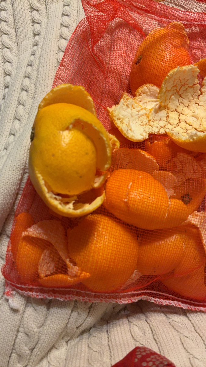 ちなみにツイ担のおやつはこちら

梨の次に大好きなみかん、お寺でおまちしてます！！！