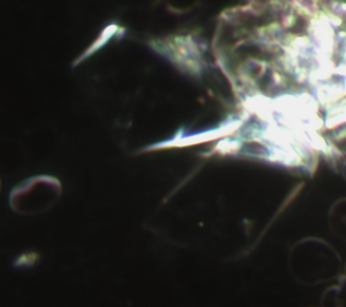 A Pattern Across Products: My Ongoing Observations, by <a href="/DavebNixon/">David Nixon</a> open.substack.com/pub/davidnixon…