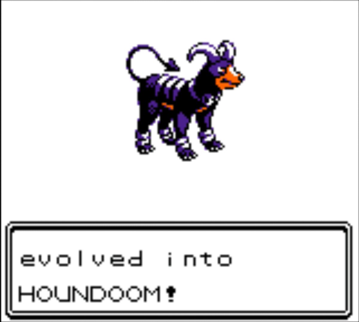 LavenderArtiste's tweet image. Not much progress cause I am hunting for both Raikou and Entei(both are a hassle to find) in order to get Ho-Oh. Also, Shotzi( @HowlForDaddy ) just evolved into Houndoom. #VplaysPKMNCrystal